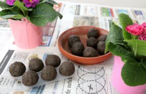 DIY: Seedballs